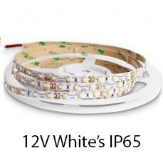 12V White's IP65 LED Strips