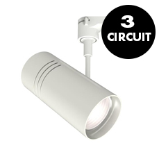 White 3 Circuit