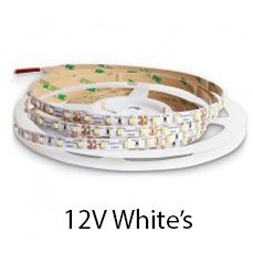 12V White's LED Strips