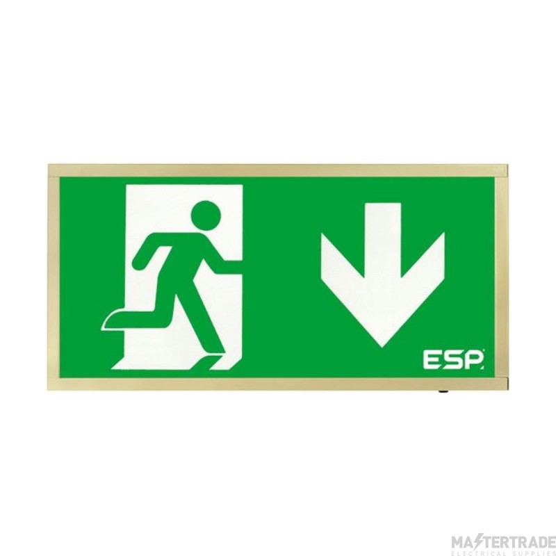 ESP D120DBR Duceri Emergency Surface Exit Box 3W LED IP20 Down Legend Lithium Battery Maintained Brass