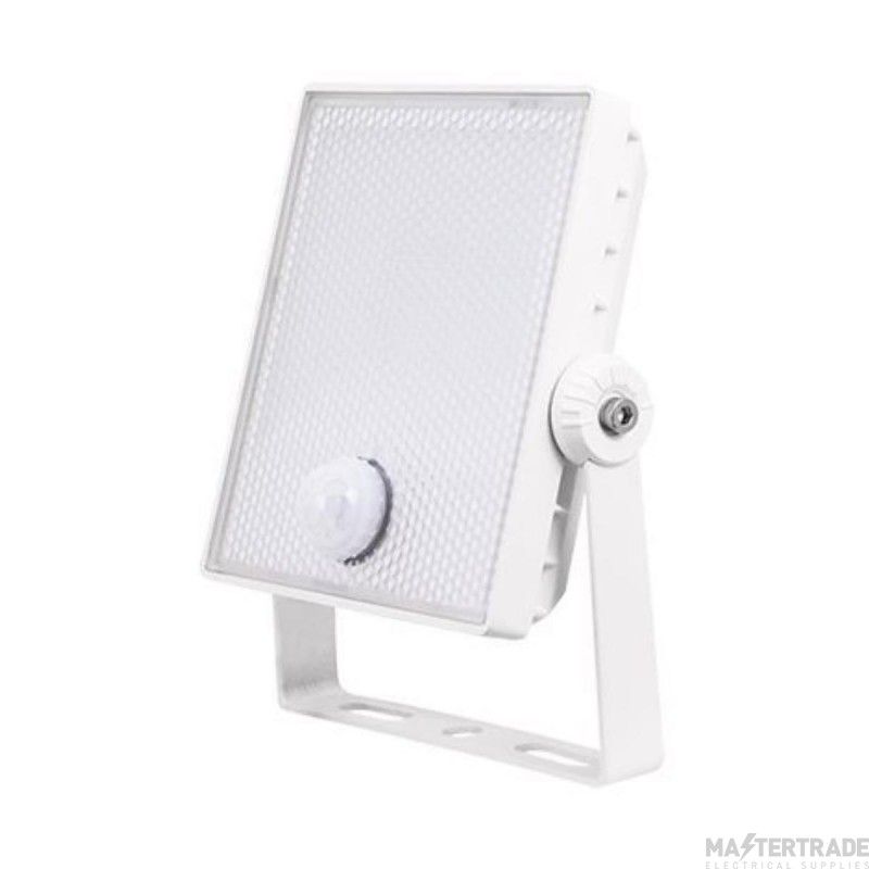 ESP NIGHTHAWK Floodlight LED c/w Sensor 10W White