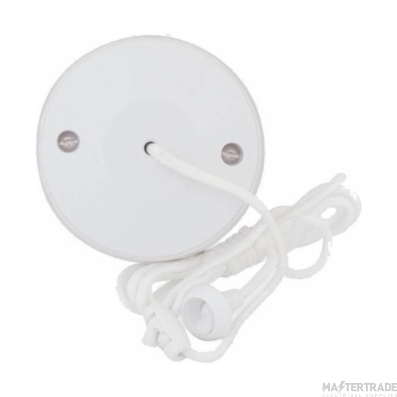 Selectric Ceiling Switch 1 Way X Rated 10A White