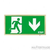 ESP D120DBR Duceri Emergency Surface Exit Box 3W LED IP20 Down Legend Lithium Battery Maintained Brass