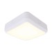 Picture of Ansell Astro 7W LED CCT Bulkhead IP65 White/Visiluxe Photocell 