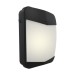 Picture of Ansell Panther 25W LED Wallpack CCT 3000K/4000K/6500K Black 