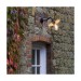 Picture of Astro Dafni Outdoor Wall Light in Textured Black 1341003 