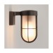 Picture of Astro Cabin Wall Frosted Outdoor Wall Light in Bronze 1368026 