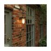 Picture of Astro Cabin Wall Frosted Outdoor Wall Light in Bronze 1368026 
