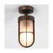 Picture of Astro Cabin Frosted Semi Flush Outdoor Ceiling Light in Bronze 1368028 