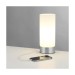 Picture of Endon Dara One Light USB Table Lamp In Brushed Nickel And Matt Opal Duplex Glass 