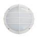 Picture of Eterna 18W LED Bulkhead 4200K White c/w Grill Diffuser 