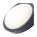 Picture of Forum Oxford Oval LED Flush Black 