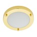 Picture of Forum Delphi Small LED Flush Ceiling Light in Shiny Brass Finish 