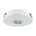 Picture of Integral Compact Surface Emergency LED Downlight 3hrNM (Escape Route) 