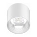 Picture of Lumineux Eyebrook LED Surface Lens Downlight 15W 4000K Specular 60D 4