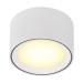 Picture of Nordlux Ceiling Light Fallon LED 2700K IP20 8.5W 500lm 230V 6x10cm White 