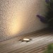 Picture of Saxby Cove 40mm LED Groundlight 3000K IP67 Brushed Stainless Steel 