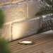 Picture of Saxby Hayz 60mm LED Groundlight 3000K IP57 Brushed Stainless Steel 