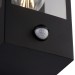 Picture of Saxby Breton E27 Flush Wall Lantern IP44 PIR Sensor Black/Clear 