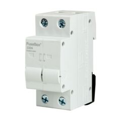 FuseBox IT1002U 100A 2P Connector