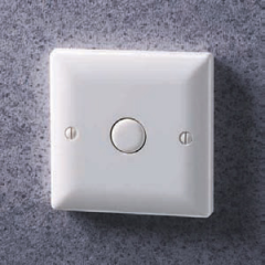 Danlers TLSW10 2 Wire Plated Time Delay Switch Adjustable Lag 1 to 10min 230V 6A (R) (F) 2A (L)