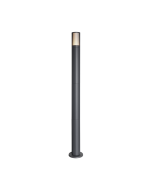 FORUM-ZN-44260-ANTH