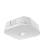 Ansell AFLP/1/W/3NM/DA Falcon Pro Surface LED IP65 Downlight 6500K DALI 3hrNM 2W White