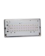 BELL 09097 Spectrum 7W LED Emergency 3hrNM Bulkhead Self Test 7W 240V 1100lm
