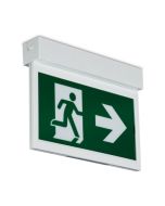 Collingwood EMBL30M Salvus Luminaire Emergency Blade Manual Test w/o Legend Polycarbonate