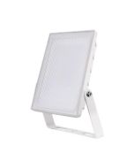 ESP NH20W NIGHTHAWK Floodlight LED 20W White