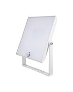 ESP NH30WS NIGHTHAWK Floodlight LED c/w Sensor 30W White