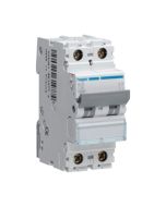 Hager NCN206A 6A 10kA/15kA 2 Pole C Curve MCB