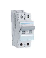 Hager NDN206A 6A 10kA/15kA 2 Pole D Curve 2 Module MCB