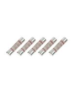 Sangamo PSPFUSE Powersaver Plus Spare Pk=5 Fuse