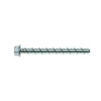 Category Screw Anchor image